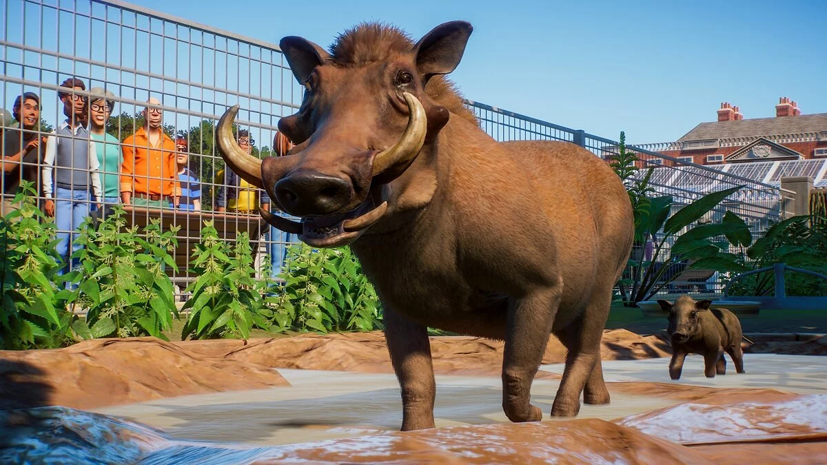 Скриншоты из Planet Zoo / Картинка 25