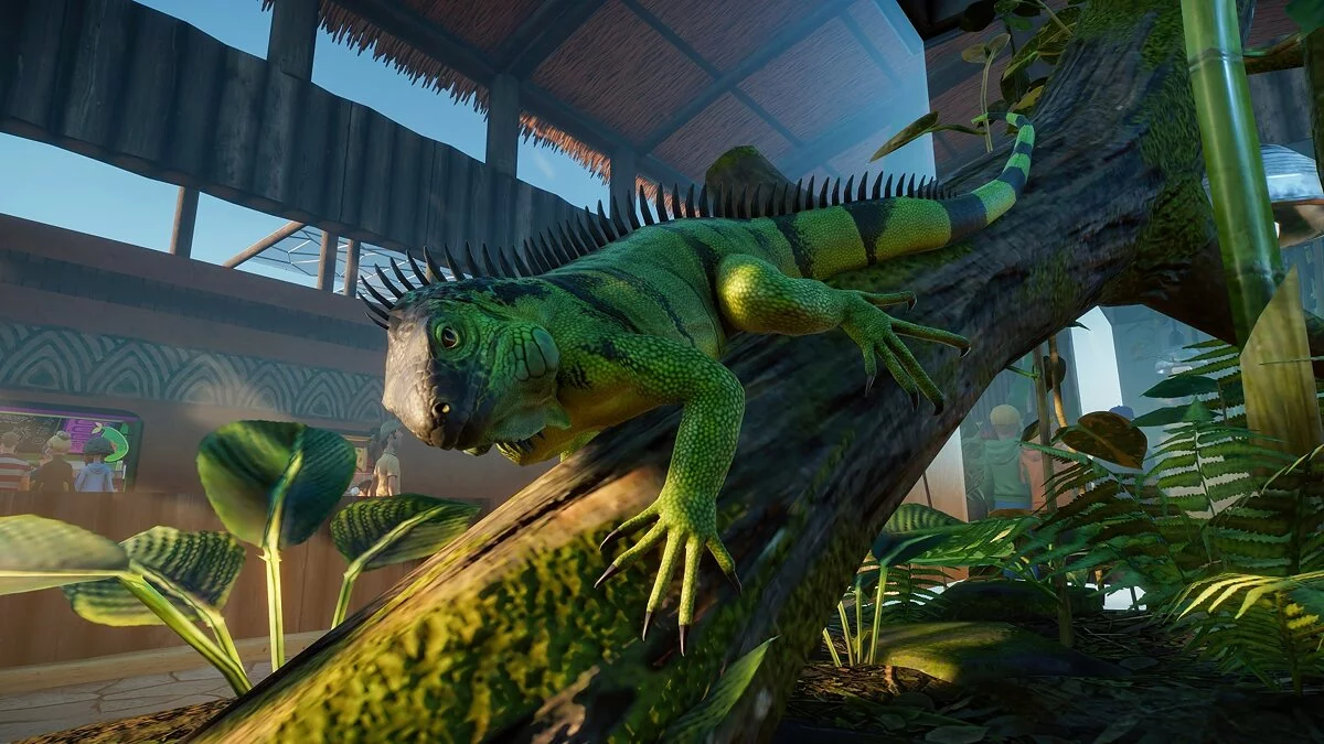 Скриншоты из Planet Zoo / Картинка 26