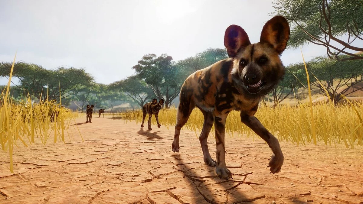 Скриншоты из Planet Zoo / Картинка 31