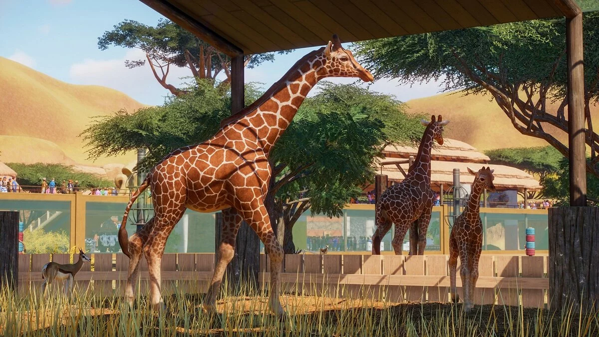Скриншоты из Planet Zoo / Картинка 33