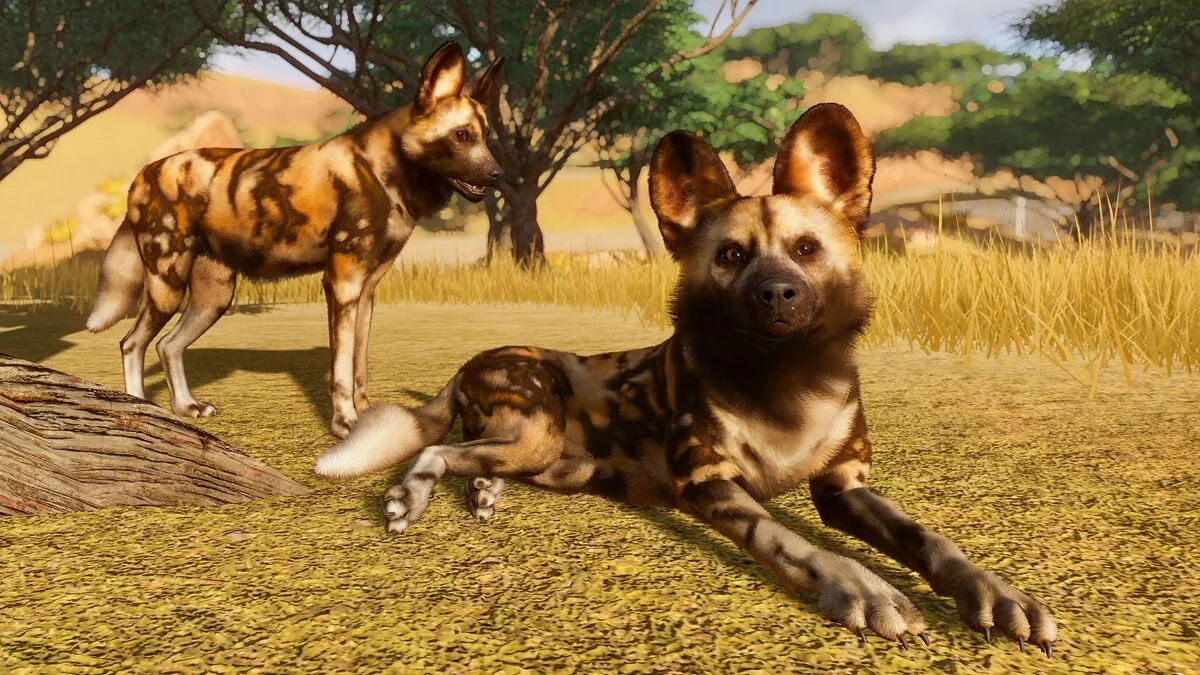 Скриншоты из Planet Zoo / Картинка 35