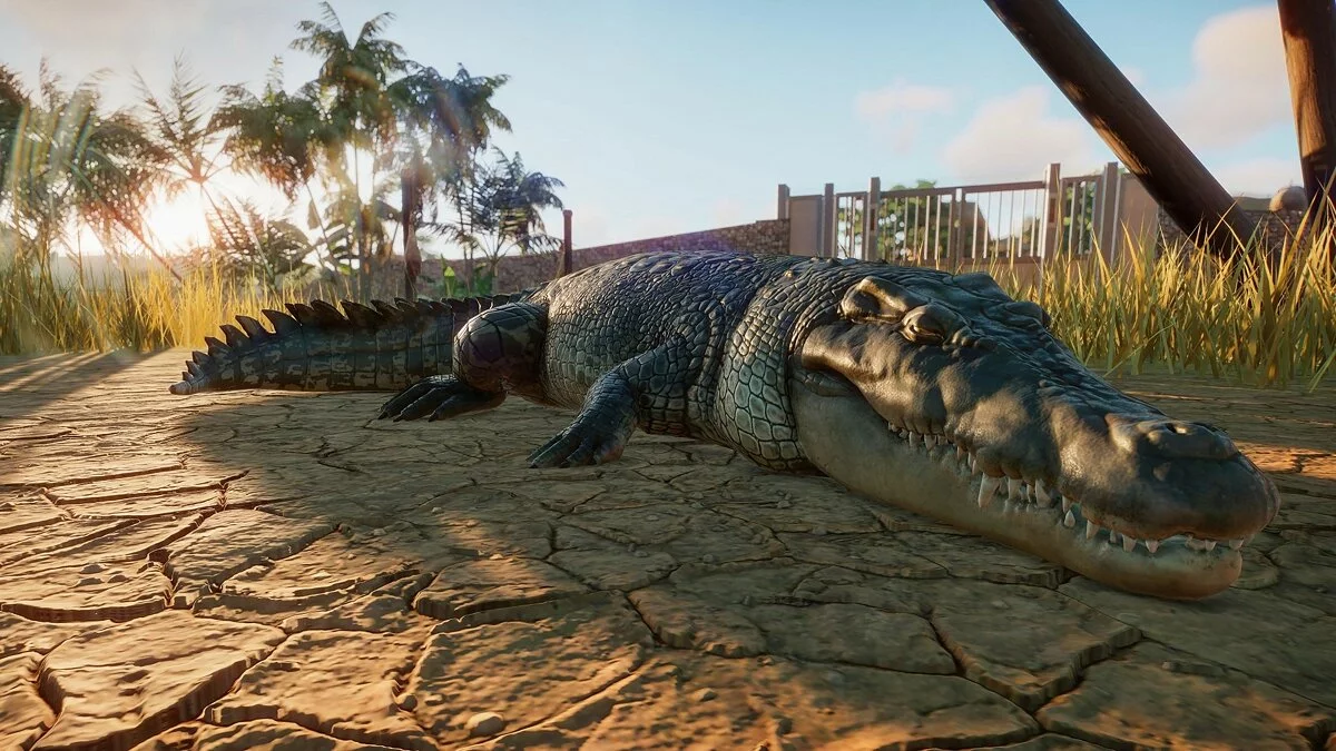 Скриншоты из Planet Zoo / Картинка 36