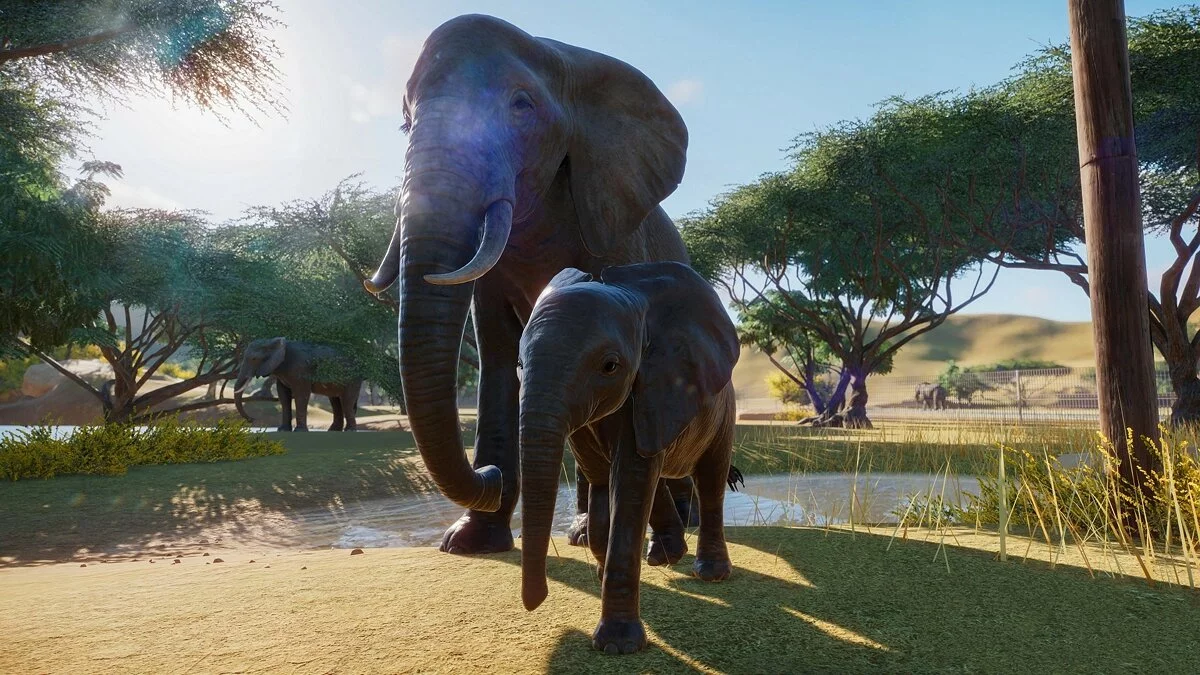 Скриншоты из Planet Zoo / Картинка 37