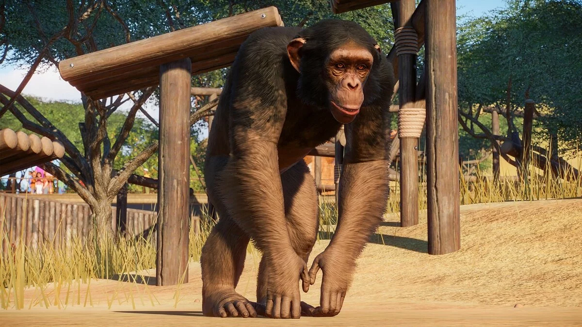 Скриншоты из Planet Zoo / Картинка 38