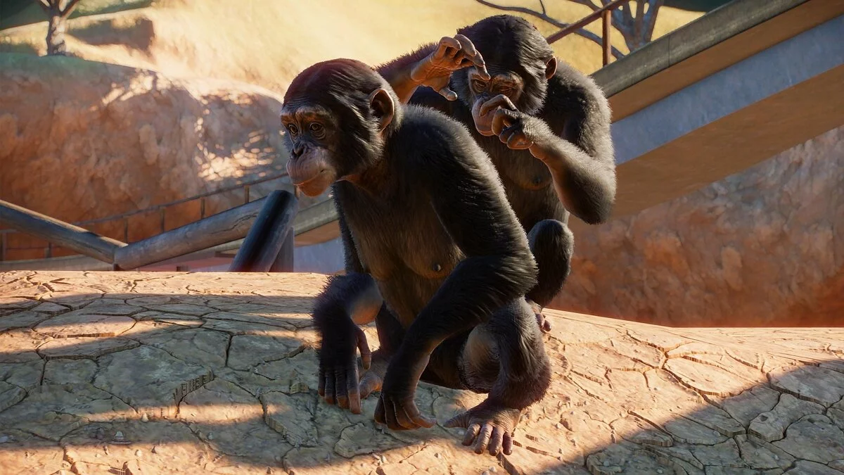 Скриншоты из Planet Zoo / Картинка 39