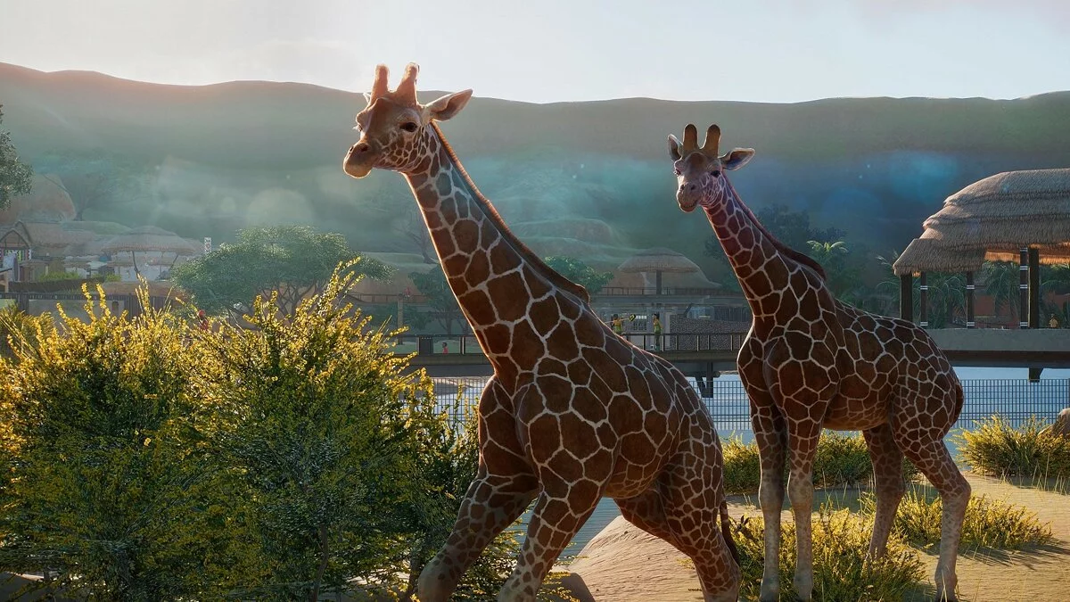 Скриншоты из Planet Zoo / Картинка 41