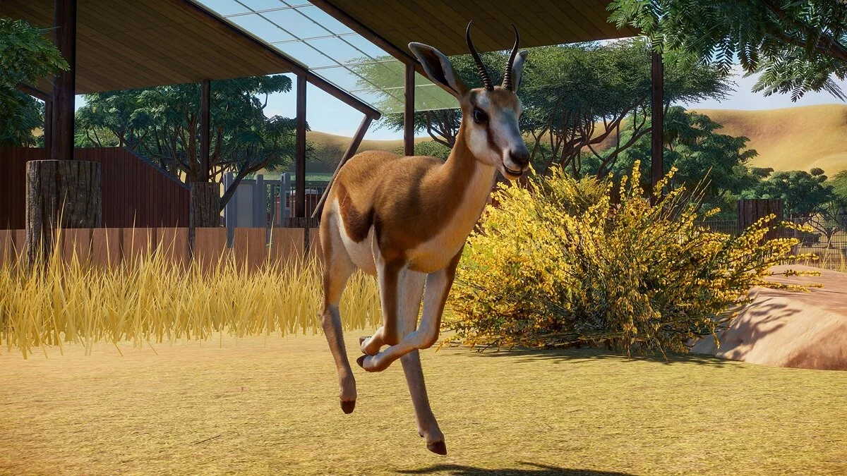 Скриншоты из Planet Zoo / Картинка 42