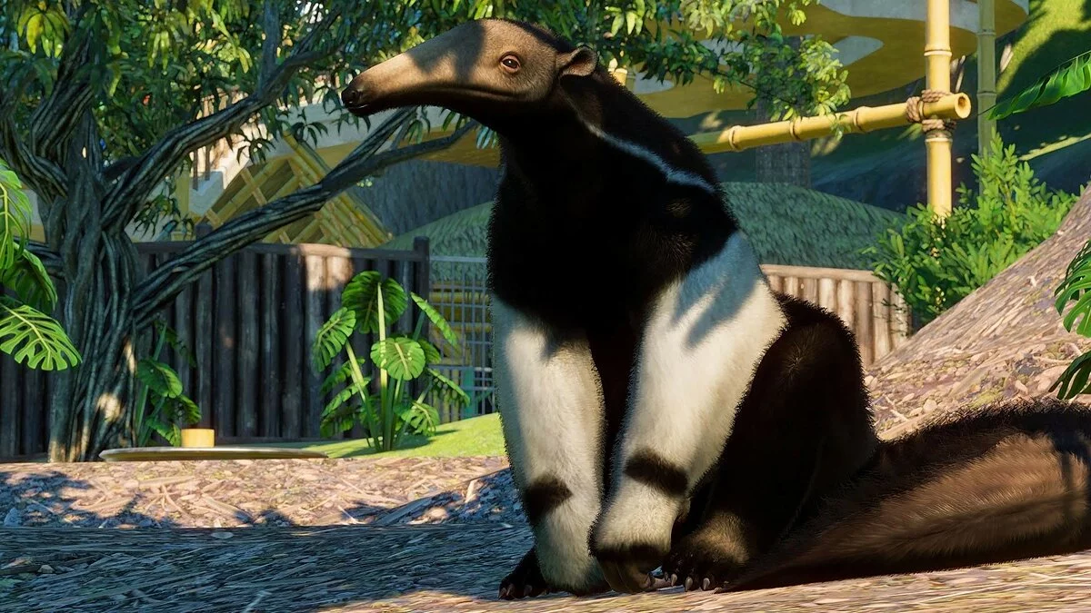 Скриншоты из Planet Zoo / Картинка 43