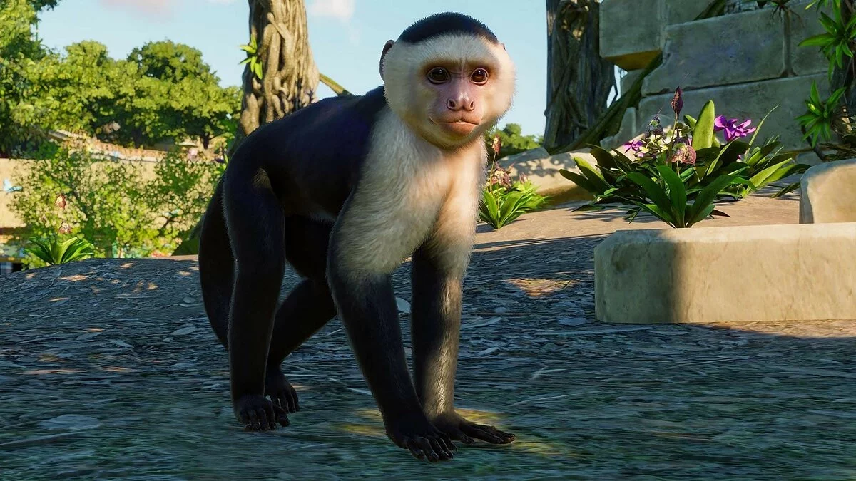 Скриншоты из Planet Zoo / Картинка 48