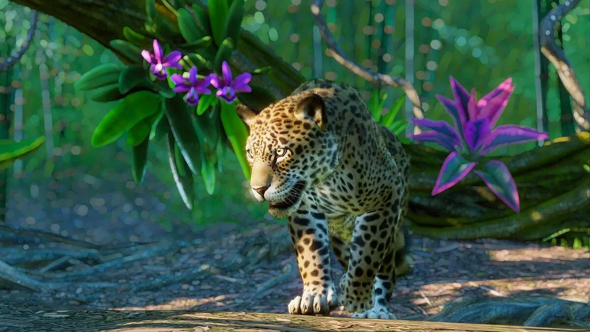 Скриншоты из Planet Zoo / Картинка 49