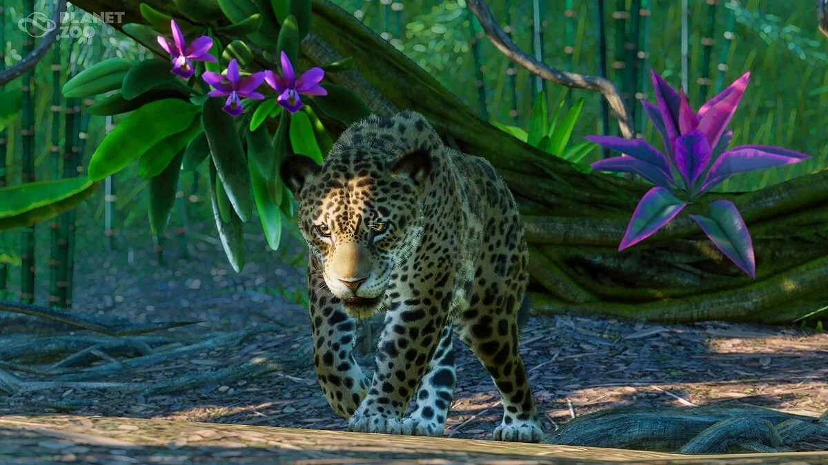 Скриншоты из Planet Zoo / Картинка 53