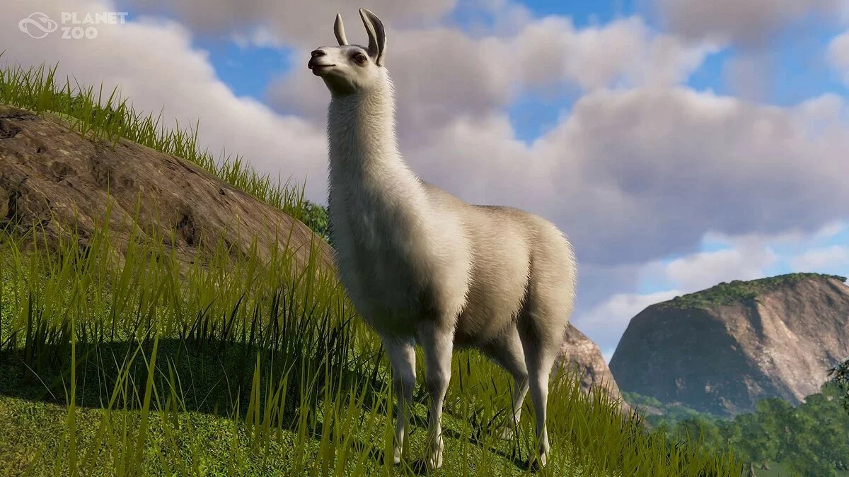 Скриншоты из Planet Zoo / Картинка 55