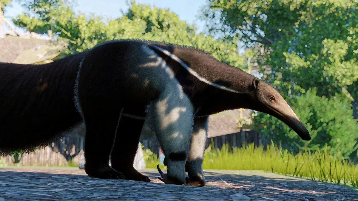Скриншоты из Planet Zoo / Картинка 58