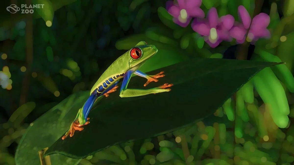 Скриншоты из Planet Zoo / Картинка 59