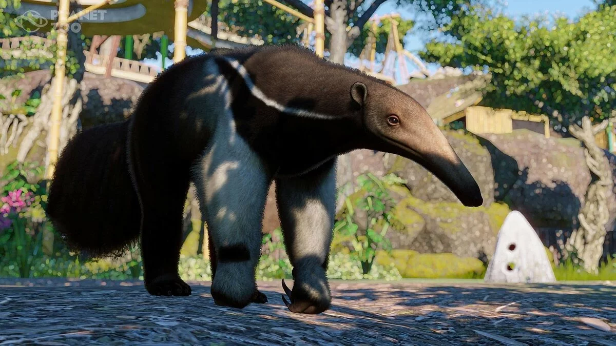 Скриншоты из Planet Zoo / Картинка 60