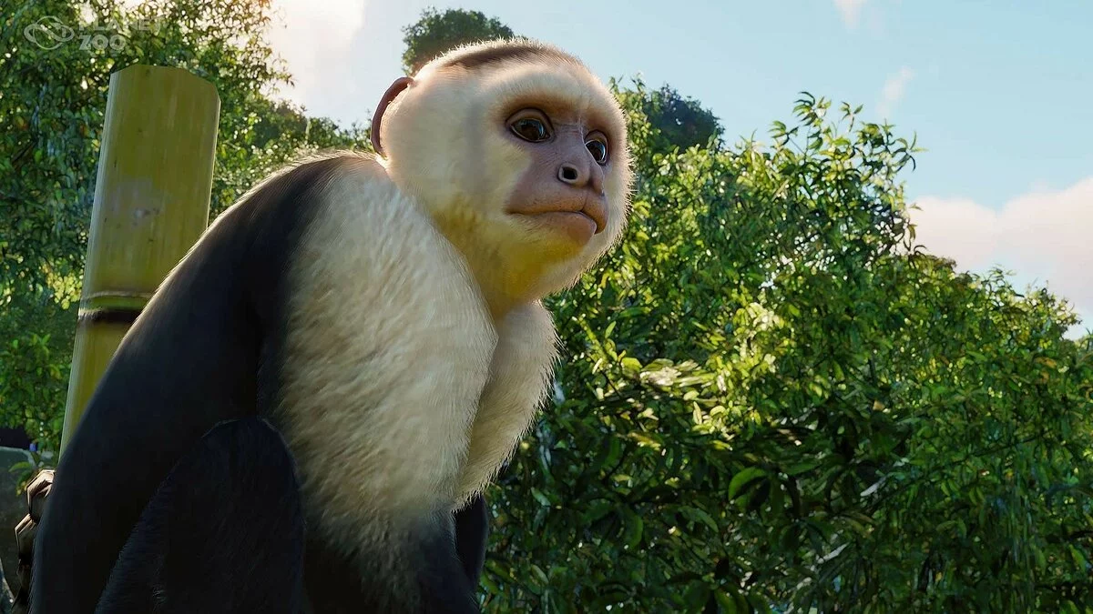Скриншоты из Planet Zoo / Картинка 61