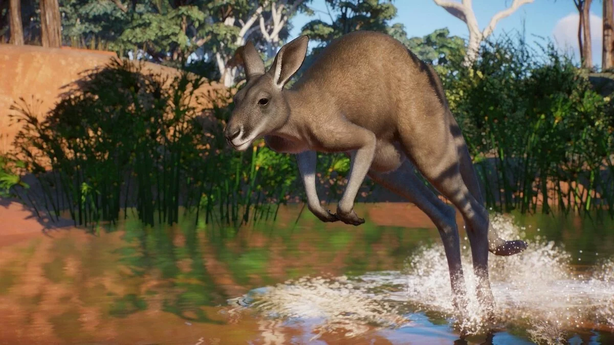 Скриншоты из Planet Zoo / Картинка 66