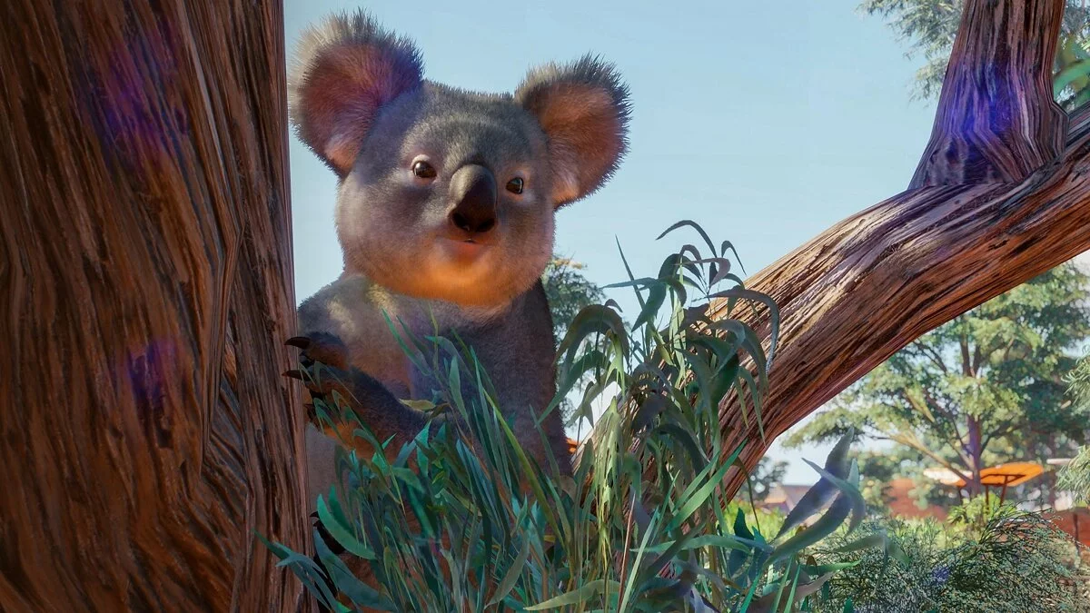 Скриншоты из Planet Zoo / Картинка 67