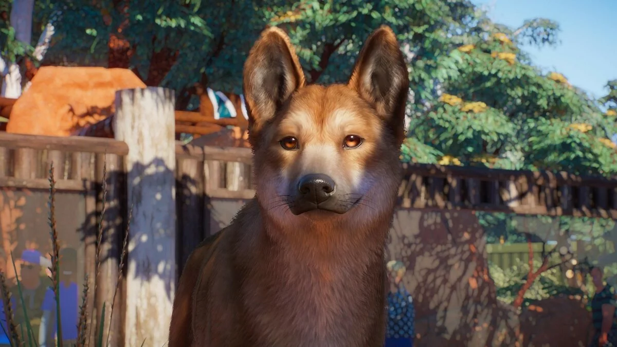 Скриншоты из Planet Zoo / Картинка 68