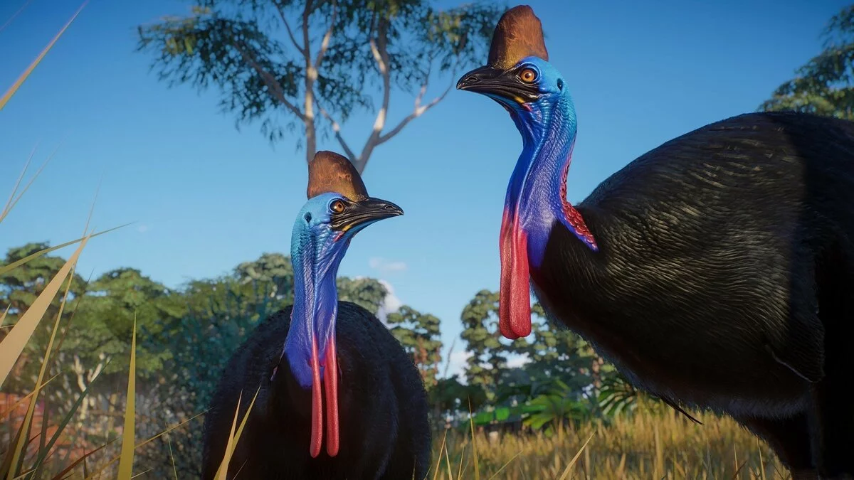 Скриншоты из Planet Zoo / Картинка 70