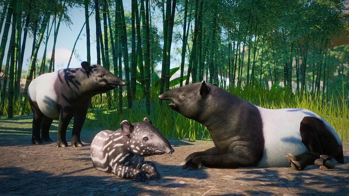 Скриншоты из Planet Zoo / Картинка 73
