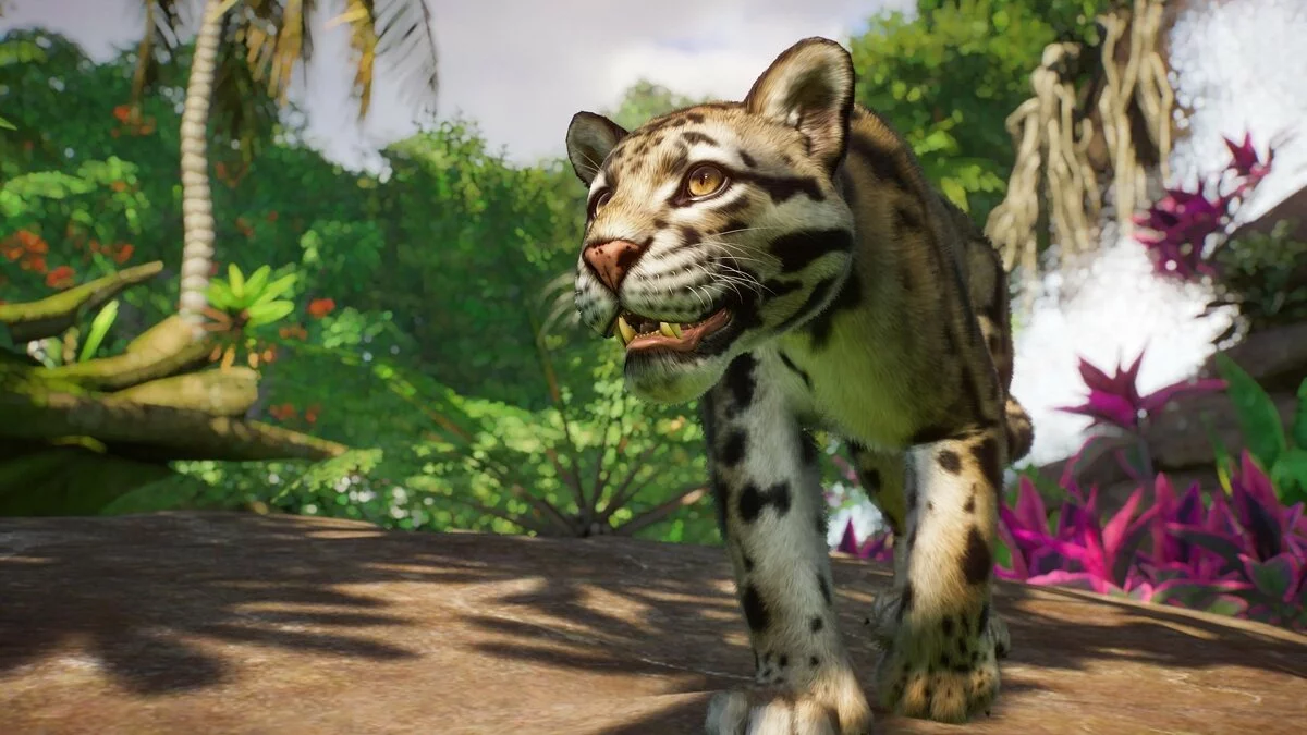 Скриншоты из Planet Zoo / Картинка 75