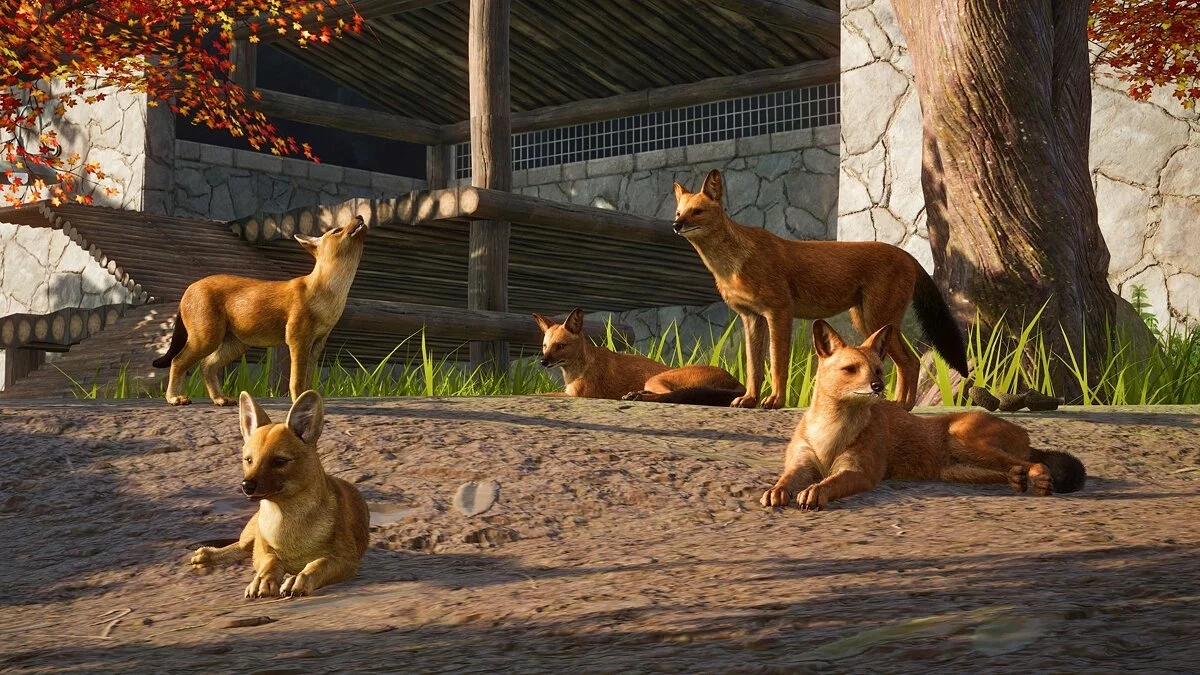 Скриншоты из Planet Zoo / Картинка 78