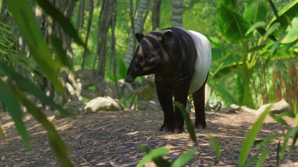 Скриншоты из Planet Zoo / Картинка 79