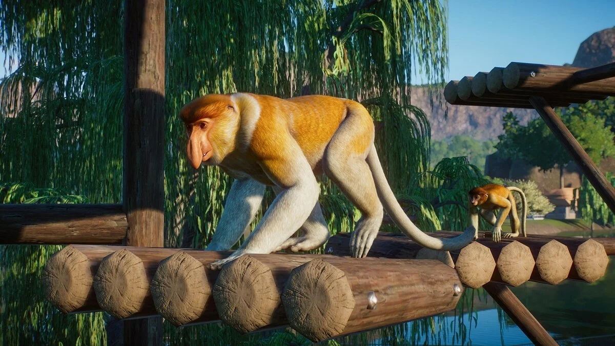 Скриншоты из Planet Zoo / Картинка 81