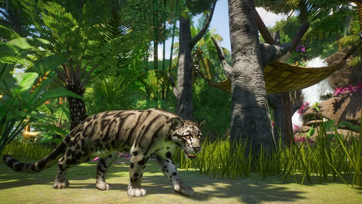 Скриншоты из Planet Zoo / Картинка 89
