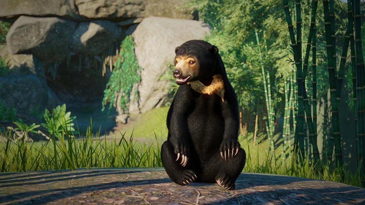 Скриншоты из Planet Zoo / Картинка 92