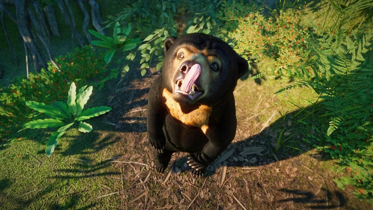 Скриншоты из Planet Zoo / Картинка 96