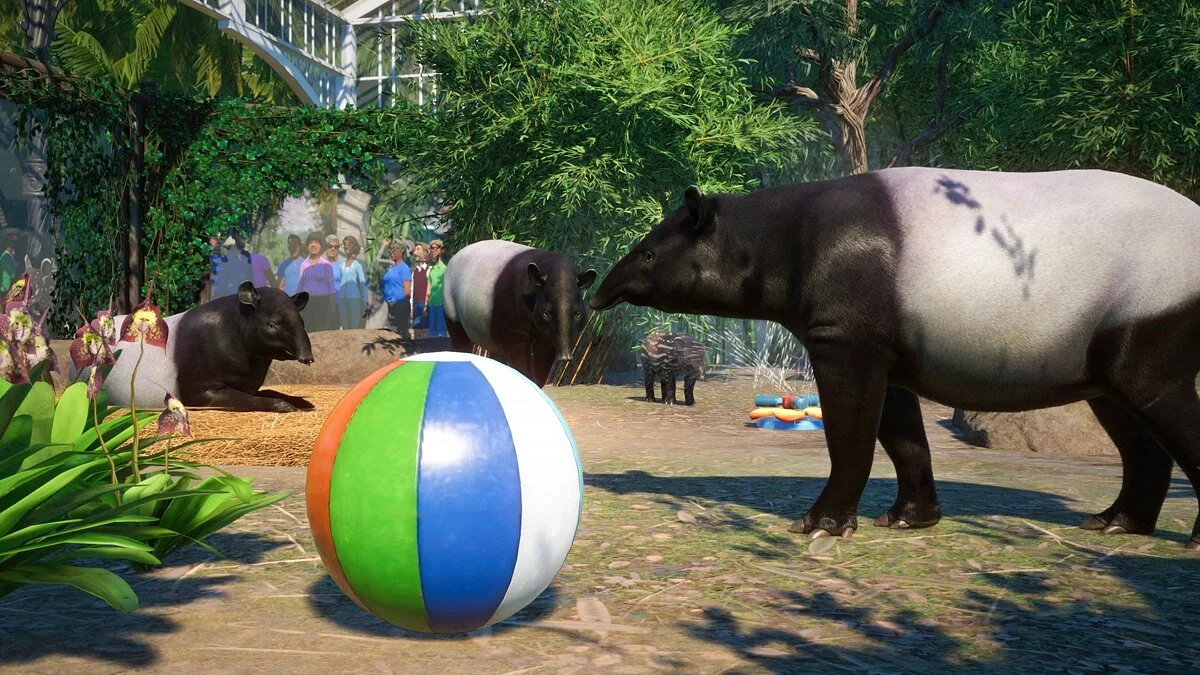 Скриншоты из Planet Zoo / Картинка 99