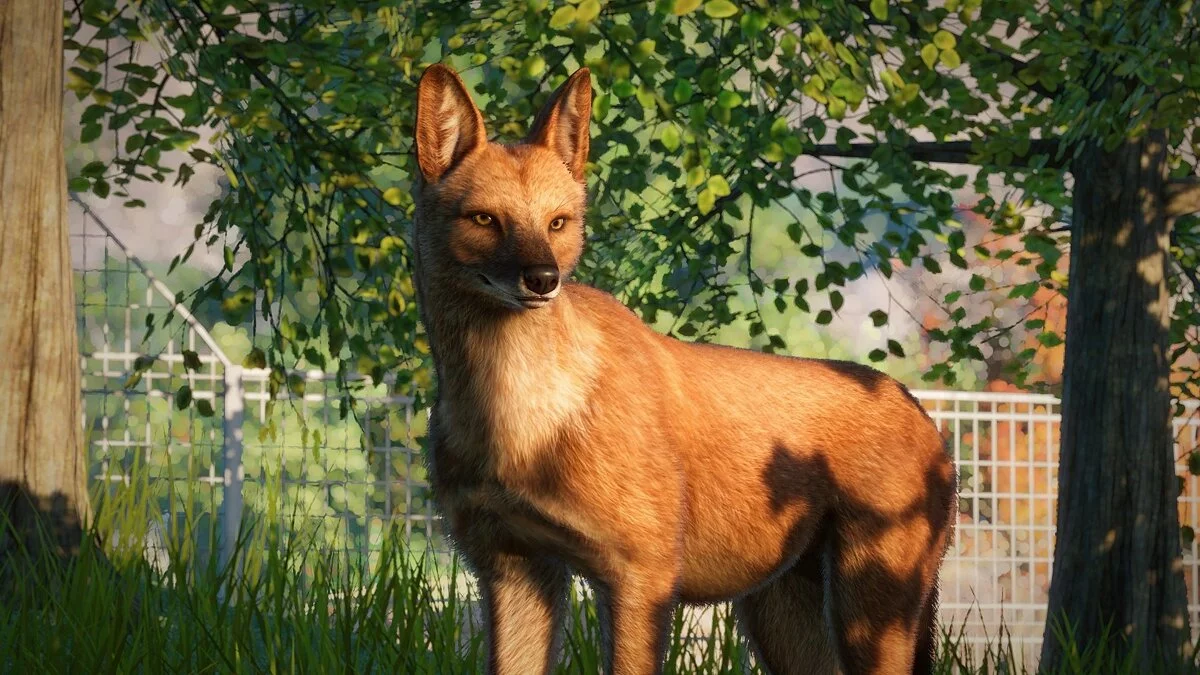 Скриншоты из Planet Zoo / Картинка 100