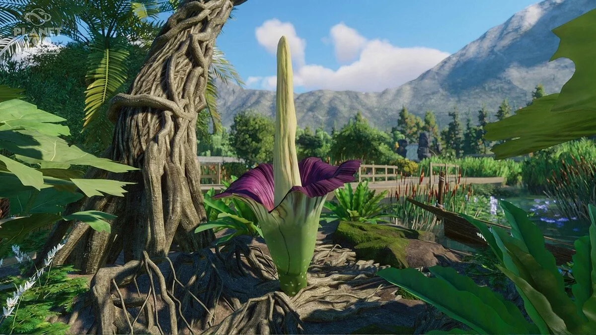 Скриншоты из Planet Zoo / Картинка 107