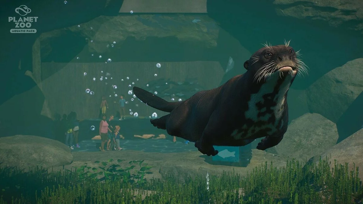 Скриншоты из Planet Zoo / Картинка 108