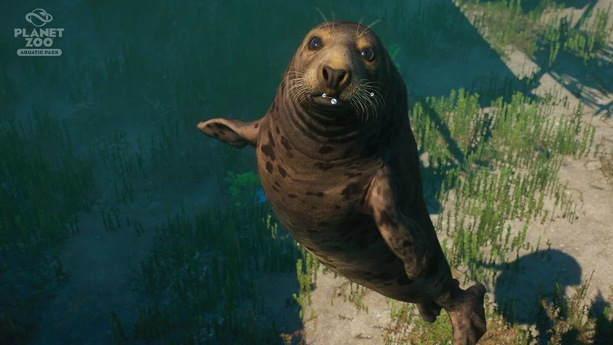Скриншоты из Planet Zoo / Картинка 117