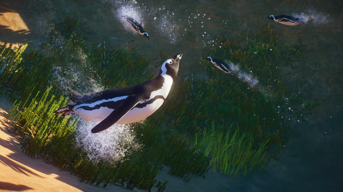 Скриншоты из Planet Zoo / Картинка 131