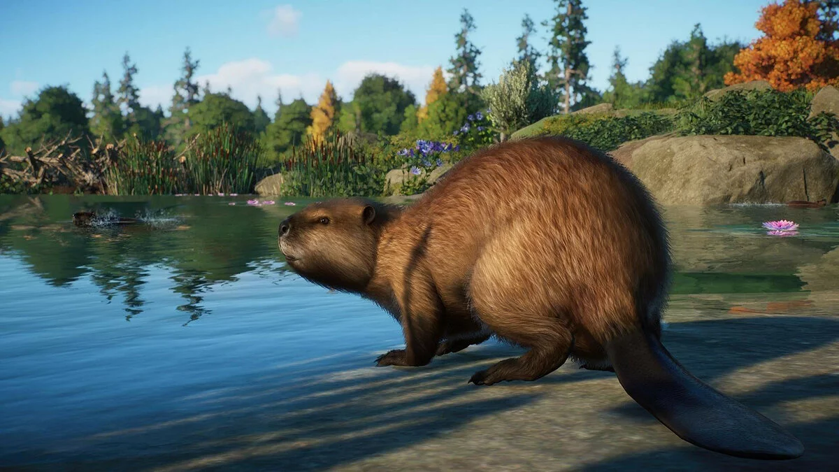 Скриншоты из Planet Zoo / Картинка 135