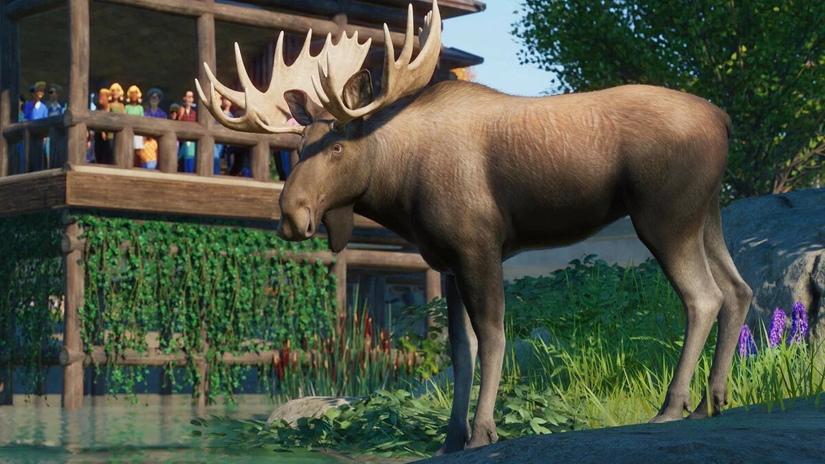 Скриншоты из Planet Zoo / Картинка 137