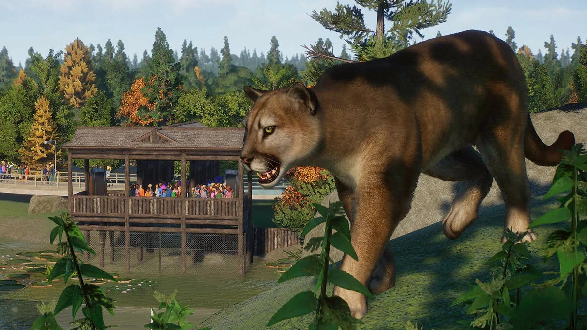 Скриншоты из Planet Zoo / Картинка 140