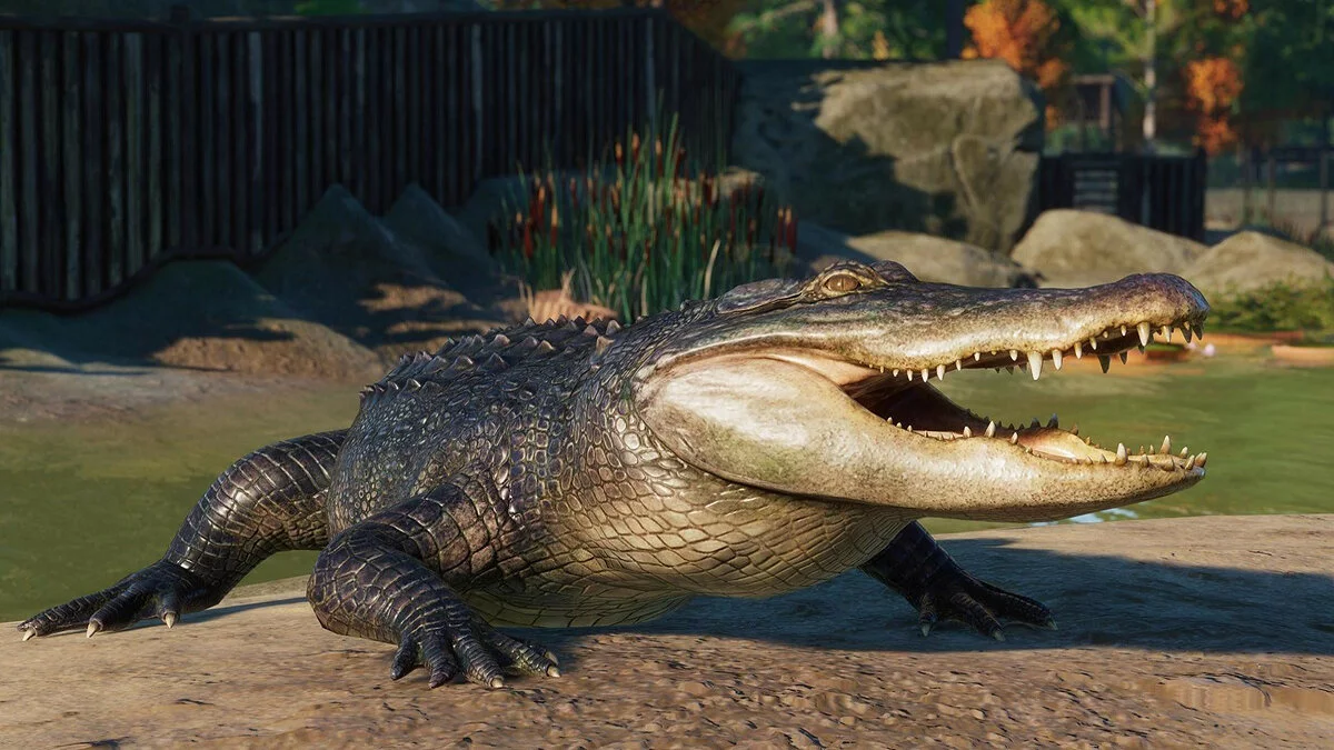 Скриншоты из Planet Zoo / Картинка 142