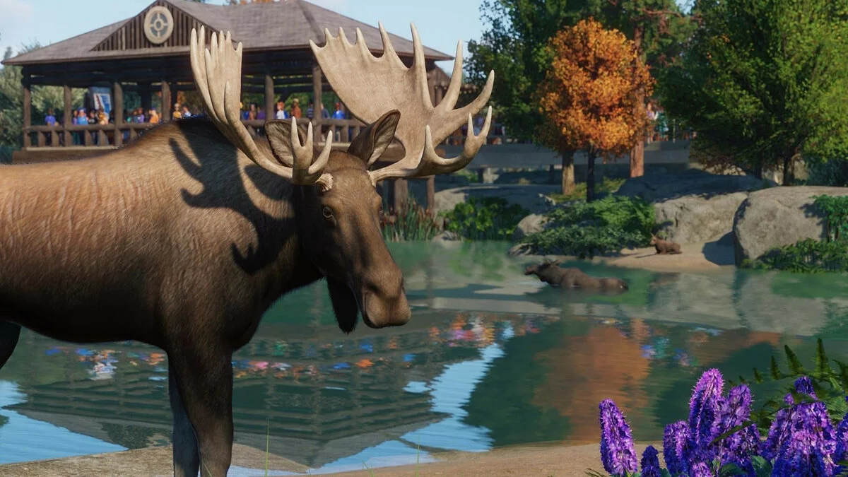 Скриншоты из Planet Zoo / Картинка 144