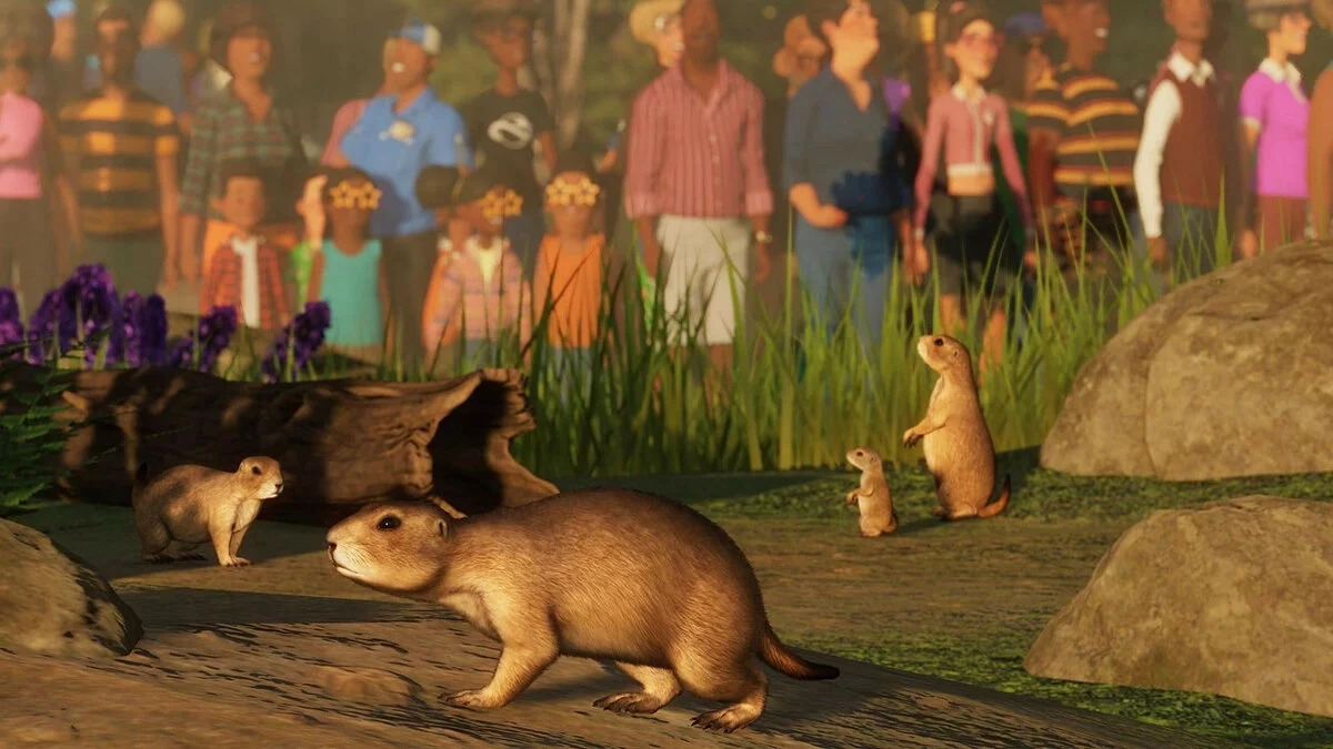 Скриншоты из Planet Zoo / Картинка 147