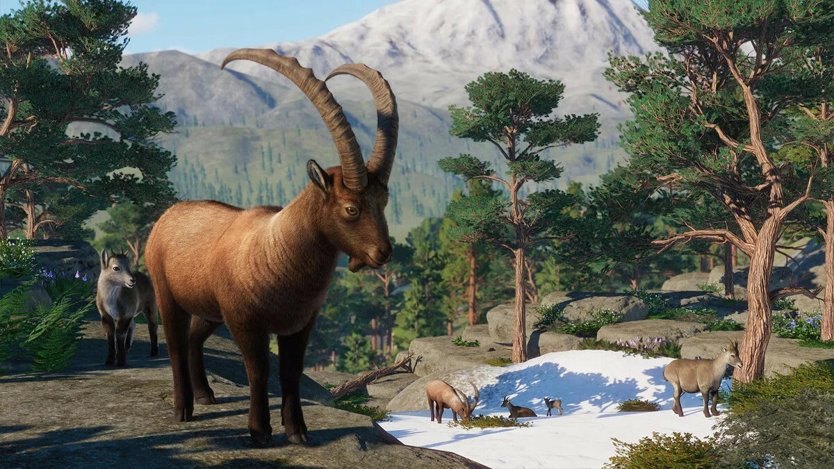Скриншоты из Planet Zoo / Картинка 151