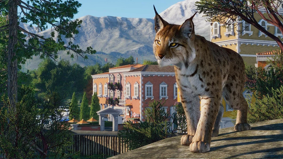 Скриншоты из Planet Zoo / Картинка 152