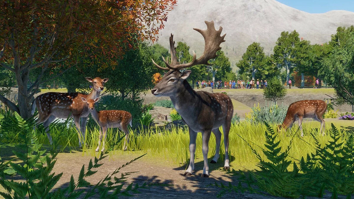 Скриншоты из Planet Zoo / Картинка 154