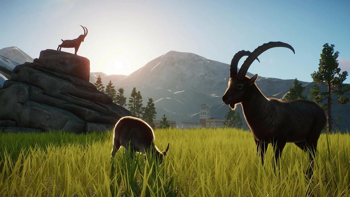 Скриншоты из Planet Zoo / Картинка 156