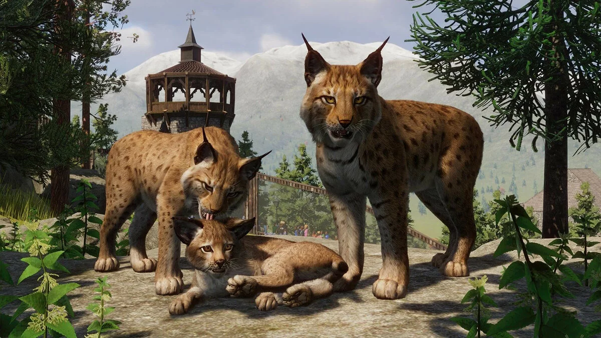 Скриншоты из Planet Zoo / Картинка 159