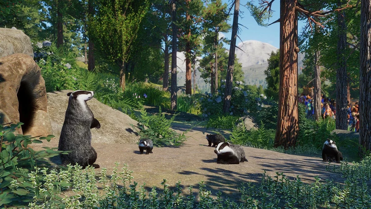 Скриншоты из Planet Zoo / Картинка 161
